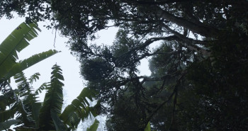 TerraForma (2024) download