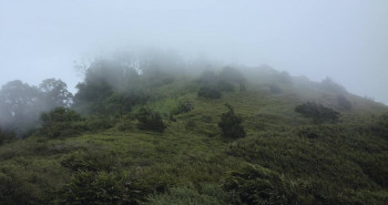 TerraForma (2024) download