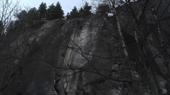 The 12 Disasters of Christmas (2012) download