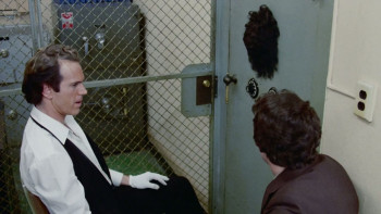 The Act (1983) download