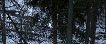 The Ancient Woods (2017) download