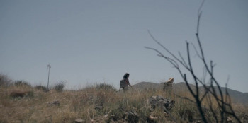 The Aviary (2022) download