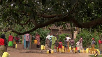 The Barefoot Artist (2014) download