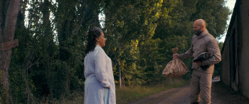 The Beekeeper (2024) download