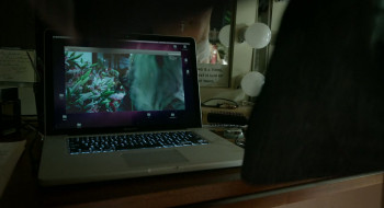 The Birdman (2014) download