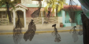 The Black Demon (2023) download