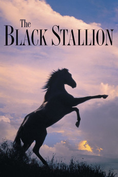 The Black Stallion (1979) download