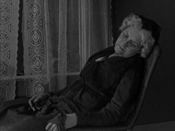 The Blot (1921) download