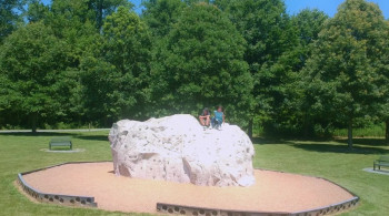 The Box in the Basement (2025) download