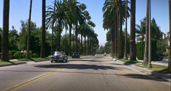 The Chicken Chronicles (1977) download