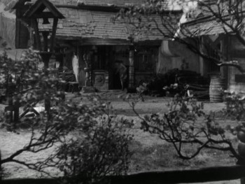 The Constant Nymph (1943) download