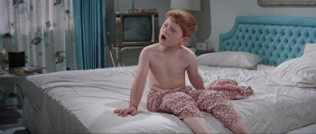 The Courtship of Eddie's Father (1969) download