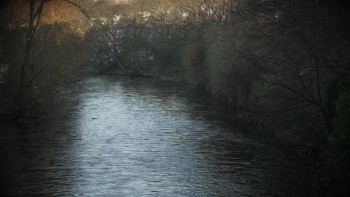 The Crossbow Cannibal (2025) download