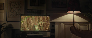 The Cuckoo's Curse (2023) download