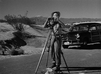 The Damned Don't Cry (1950) download