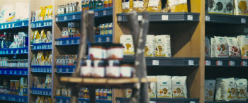 The Dark Girl (2023) download