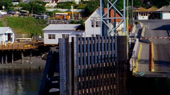 The Dark Horse (2008) download