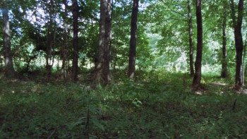 The Dark Power (1985) download