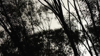 The Darkest Days: Israel-Gaza Six Months On (2024) download