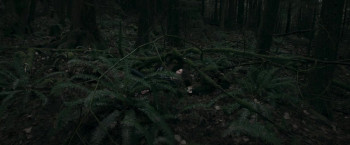 The Deep Web: Murdershow (2023) download