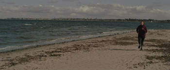 The Defender (2024) download