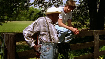 The Derby Stallion (2005) download