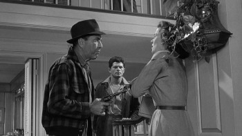 The Desperate Hours (1955) download