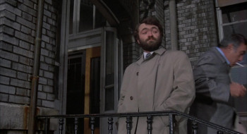 The Destructors (1974) download