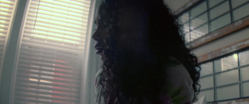 The Divorce Lawyer (2025) download