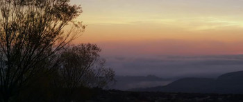 The Doe Boy (2001) download