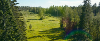 The Drift (2026) download