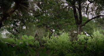 The Enchanted (1984) download