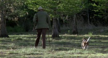 The Enchanted (1984) download