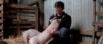 The End of Medicine (2022) download