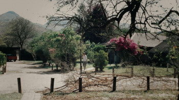 The Facebook Honeytrap: Catching a Killer (2025) download