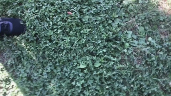 The Fear Footage 2: Curse of the Tape (2020) download