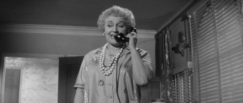 The Female Animal (1957) download