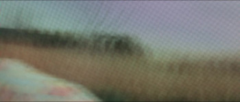 The Field (2019) download