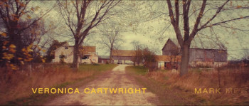 The Field (2019) download