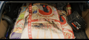 The Fire and the Moth (2025) download