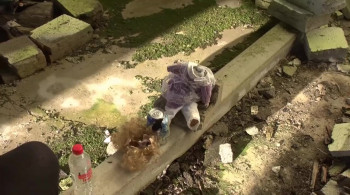 The First Date (2017) download