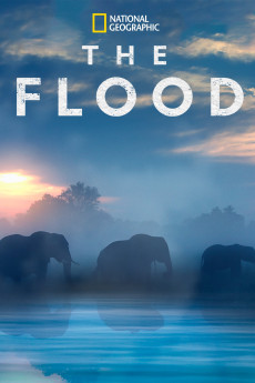 The Flood (2018) download
