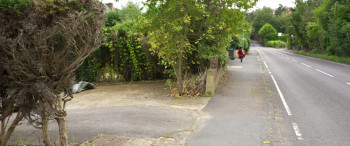 The Forest Clown (2025) download