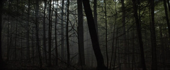 The Forest Hills (2023) download