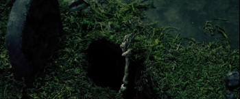 The Forest Hills (2023) download