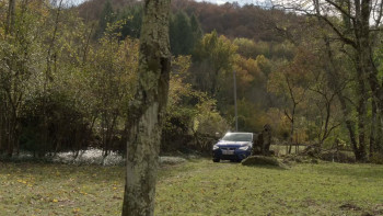 The Girl in the Wood (2021) download