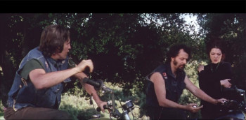 The Girls from Thunder Strip (1970) download