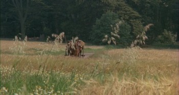 The Go-Between (1971) download