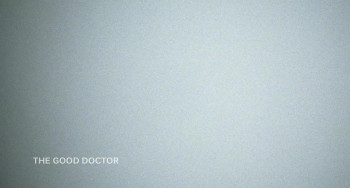 The Good Doctor (2011) download