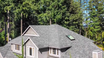 The Good Sister (2025) download